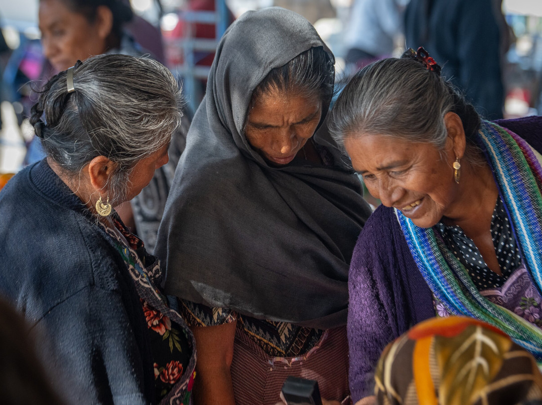 Oaxaca Experience Tours-瓦哈卡必去景点