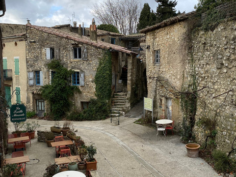 马斯喀特乔木酒店主图