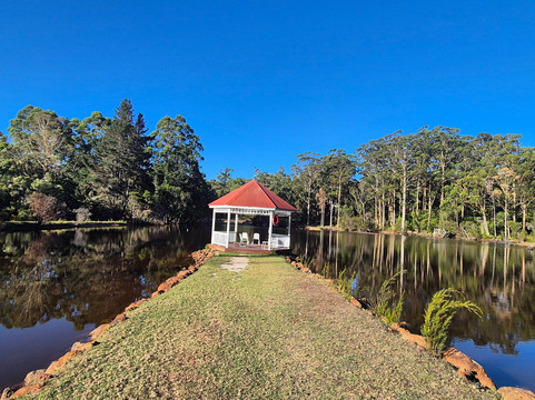 森林洛奇度假村主图