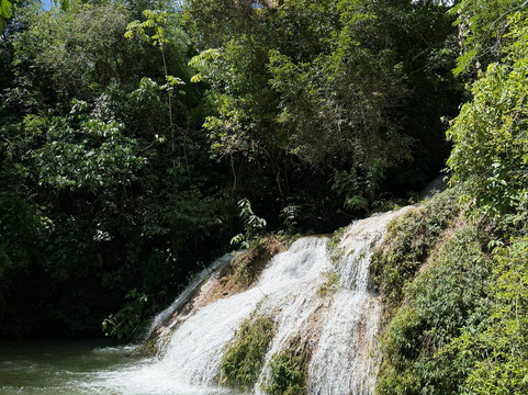 Fazenda Ceita Core-博尼图必去景点