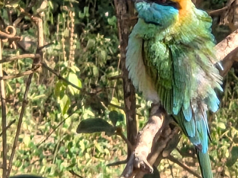 Best of Lanka-科伦坡必去景点