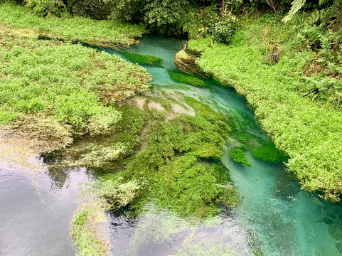 Blue Spring-普塔鲁鲁必去景点