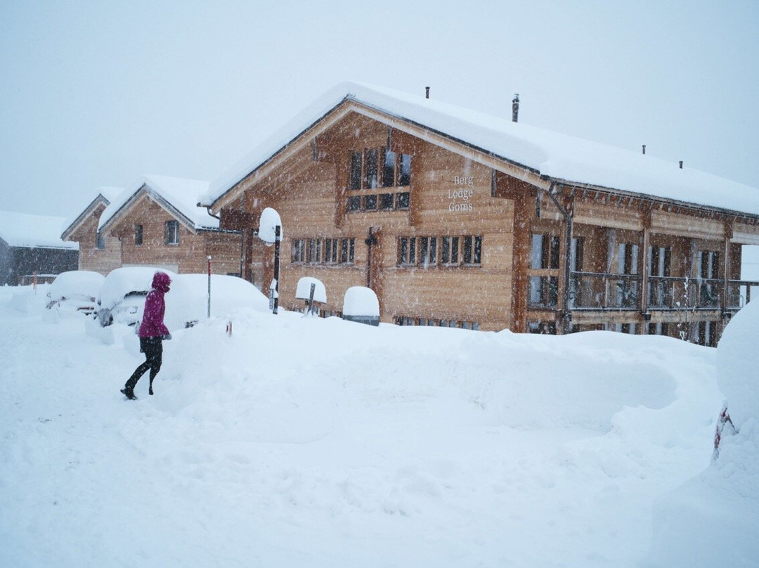 Berglodge Goms (Hotel)主图