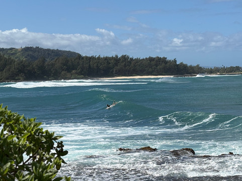 Go Nuts Hawaii-哈雷瓦必去景点