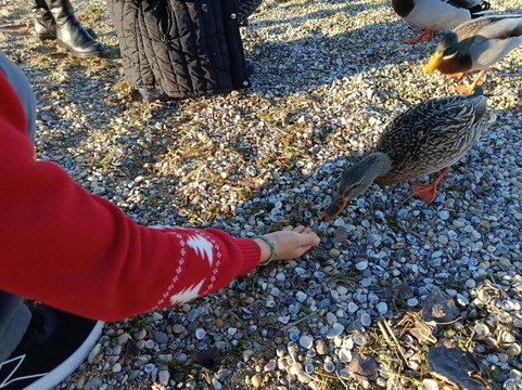 Lungolago Mazzini-佩斯基耶拉德尔加尔达必去景点