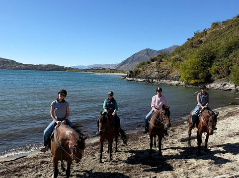 Wanaka Horse Trekking-瓦纳卡必去景点