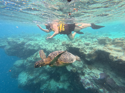 Kali & Kato's Rarotonga Turtle Tours-Takitumu District必去景点