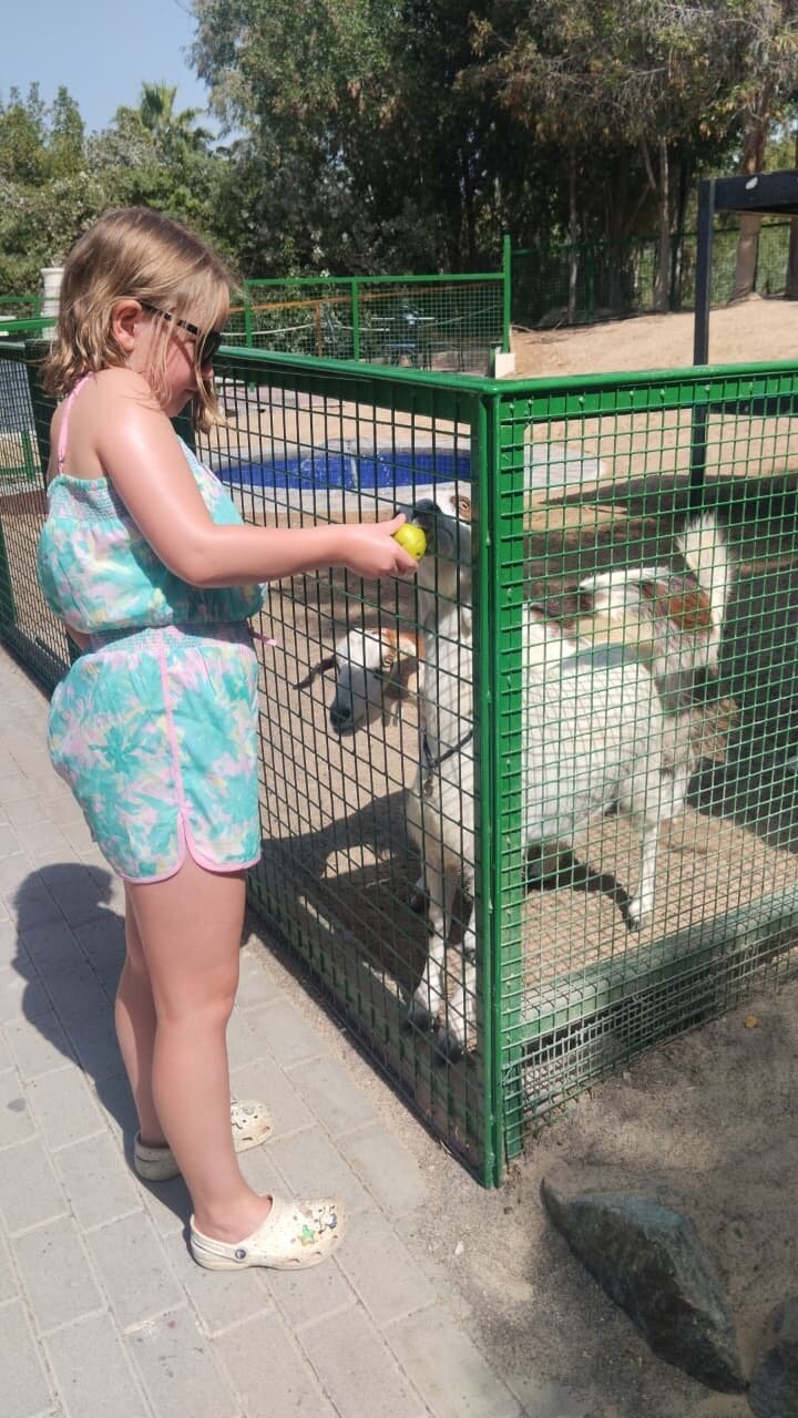 迪拜JA棕榈树庭院酒店-浴室