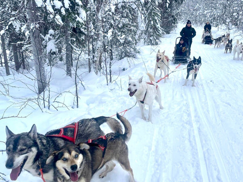 Soulmate Huskies-Pello必去景点