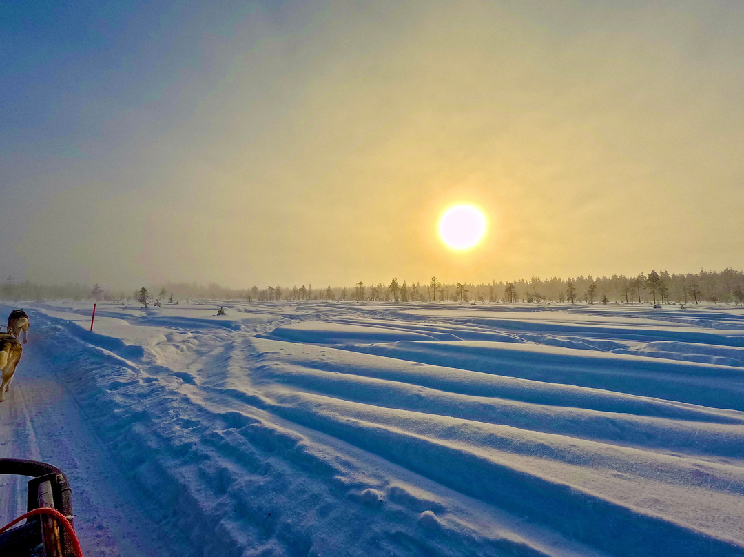 哈士奇雪橇之旅-罗瓦涅米必去景点