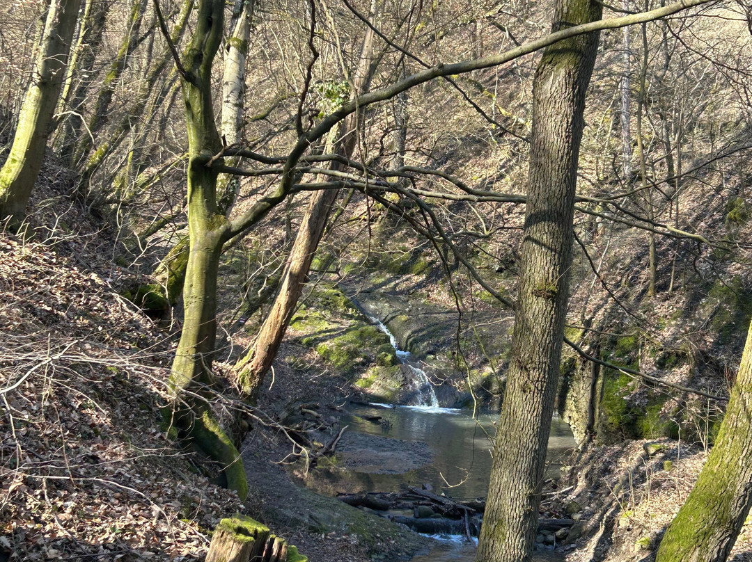 帕塔克公园酒店主图