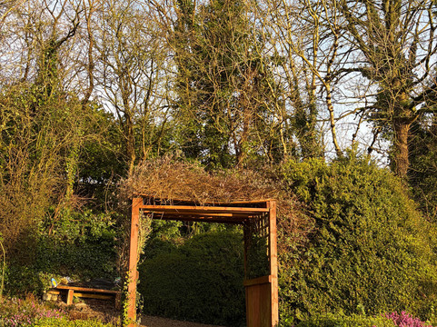 The Mustard Seed at Echo Lodge主图