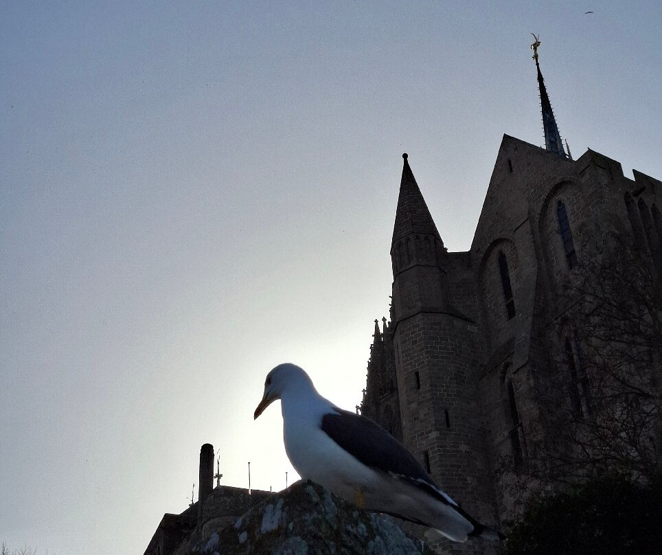 Baie du Mont St Michel-圣米歇尔山必去景点