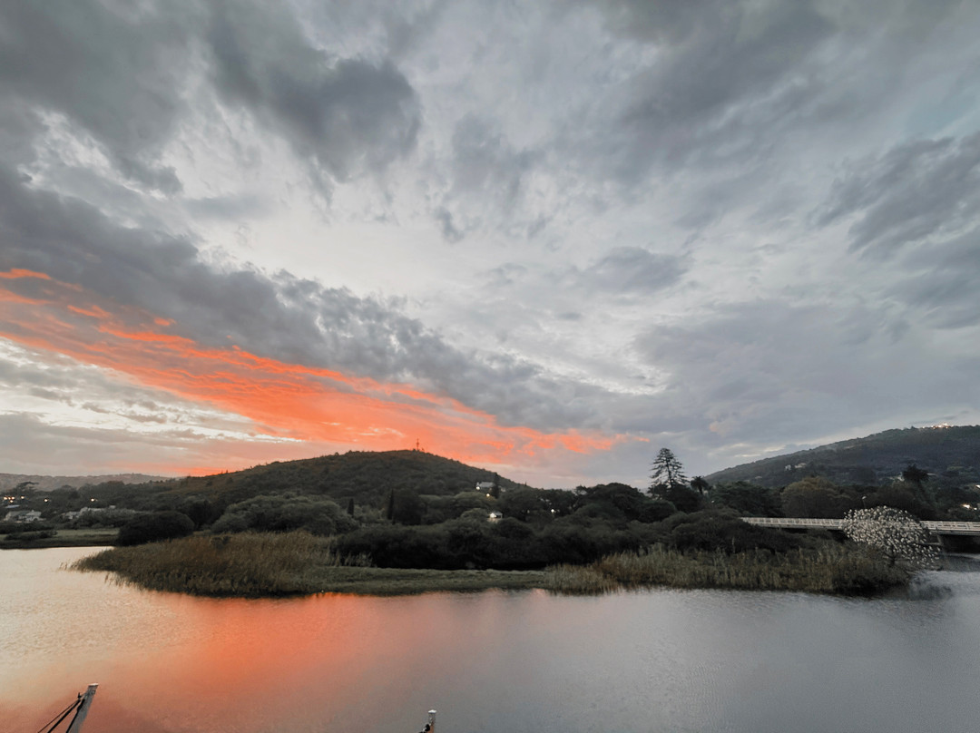 Charcoal and charm groot brak