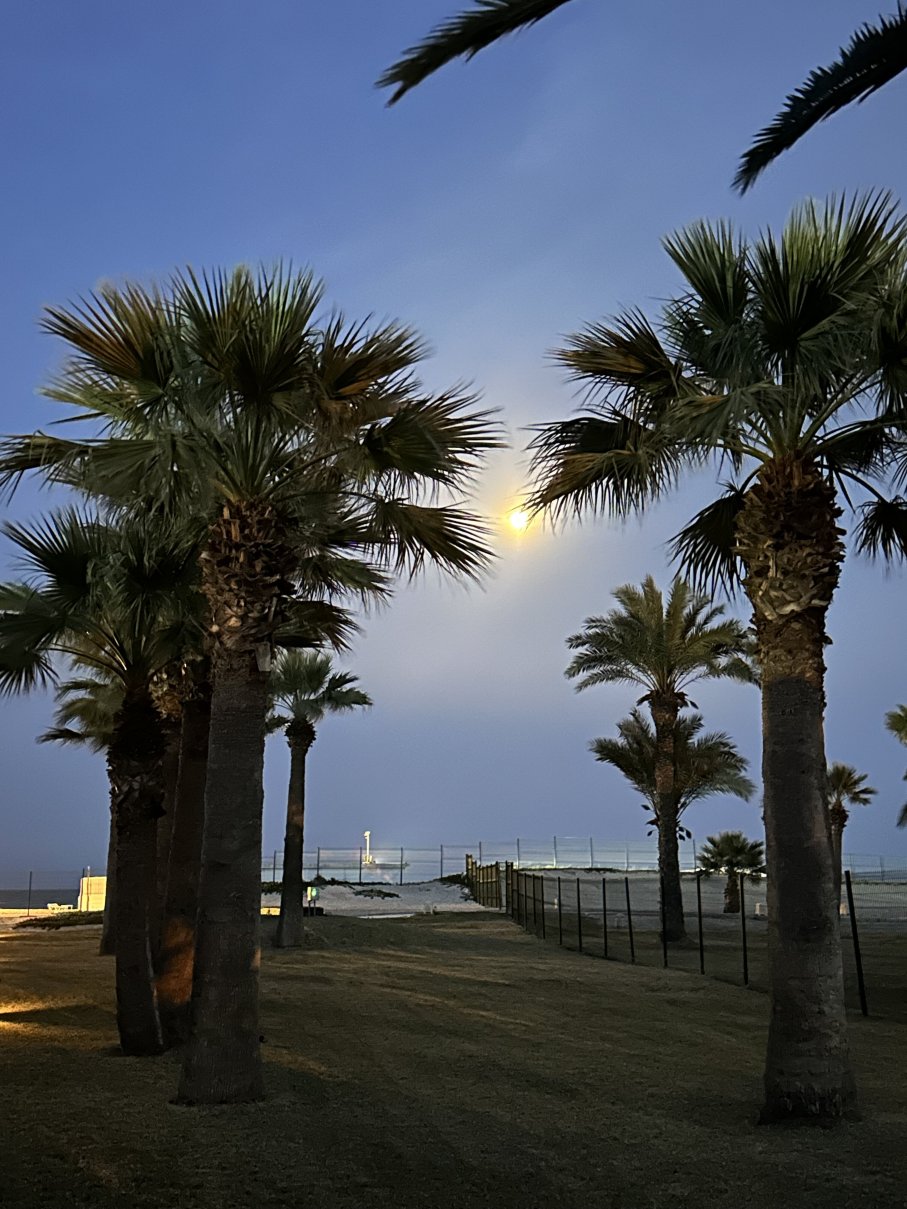 苏塞马哈巴奥仕登酒店酒店-泳池