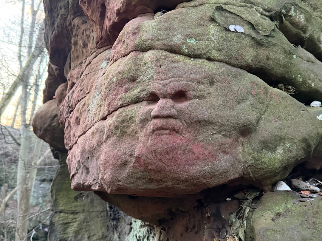 Dunino Den-圣安德鲁斯必去景点