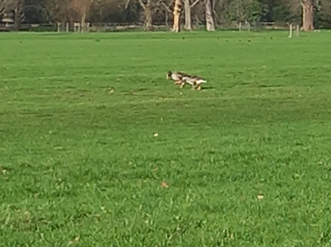 Frampton Court Estate-Frampton on Severn必去景点