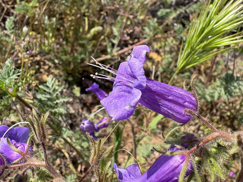 Diamond Valley Lake Visitors Center-赫米特必去景点
