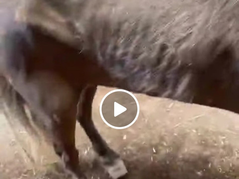 Spokane Trail Rides-斯波坎必去景点