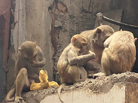 Street Connections-新德里必去景点