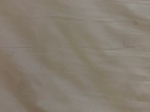 Candlewood Suites 珍珠 by IHG主图