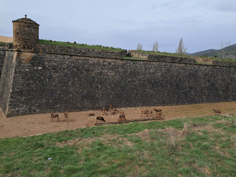 Ciudadela De Jaca-哈卡必去景点