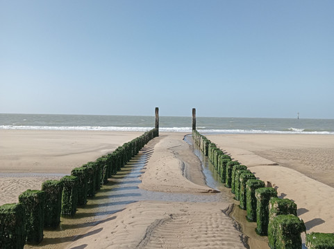 弗莱彻斯特兰德酒店航司蒂主图