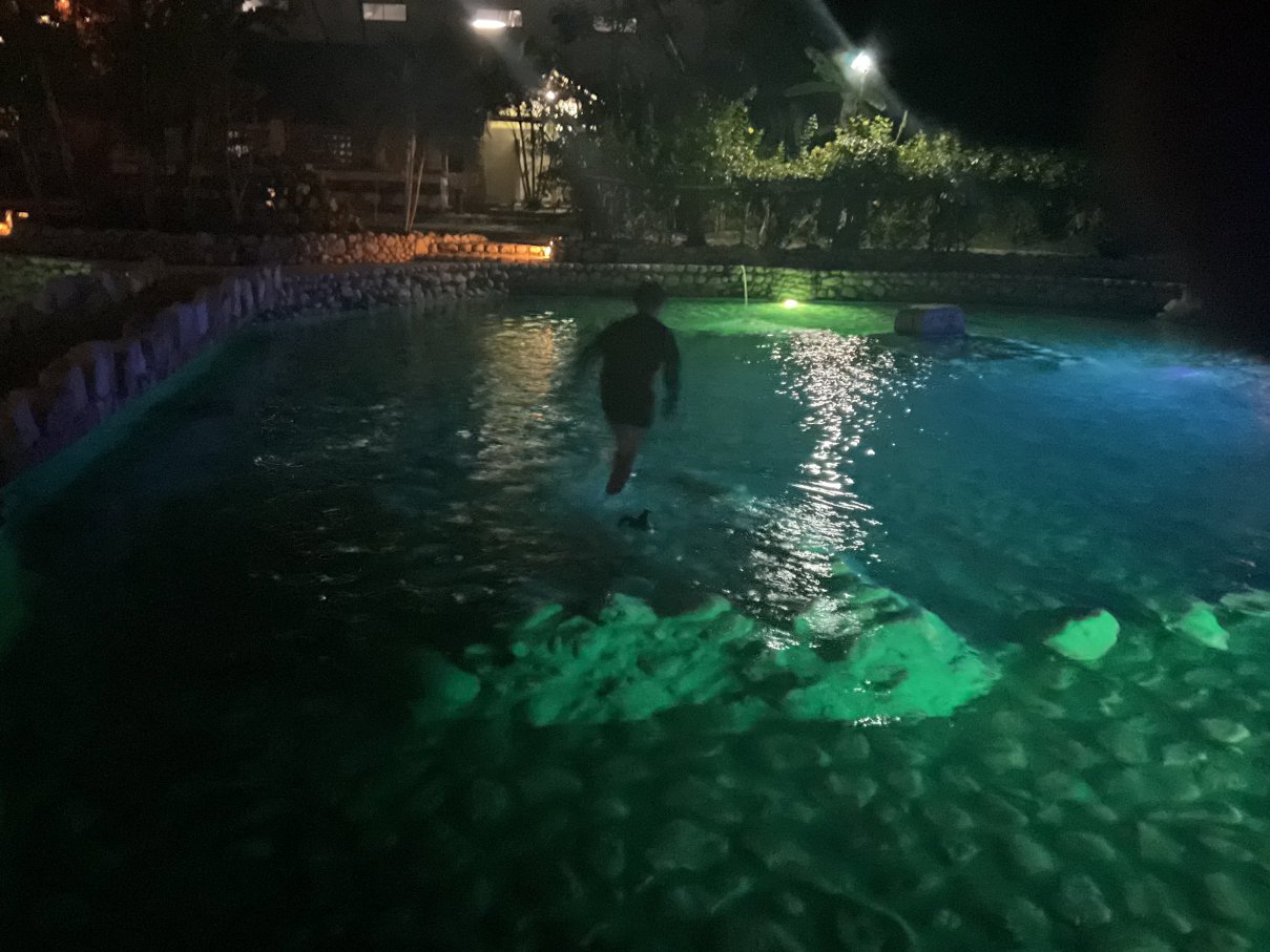 蝉卡乡村度假村-泳池