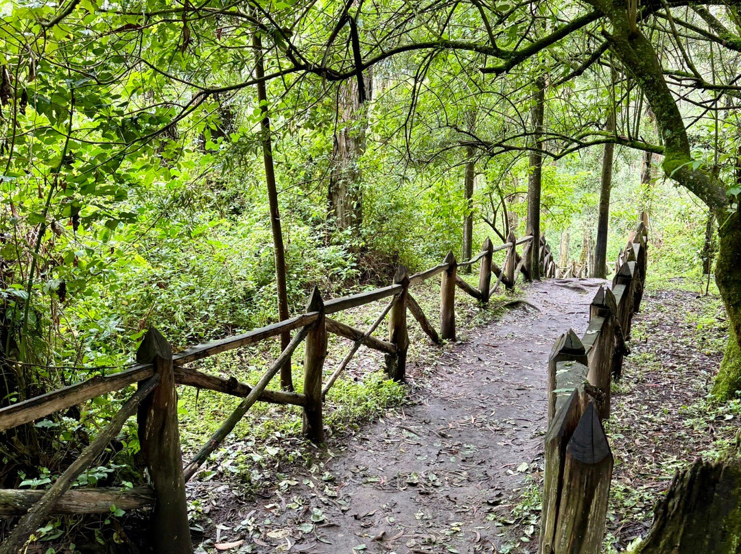 Cascada de  Peguche-Peguche必去景点