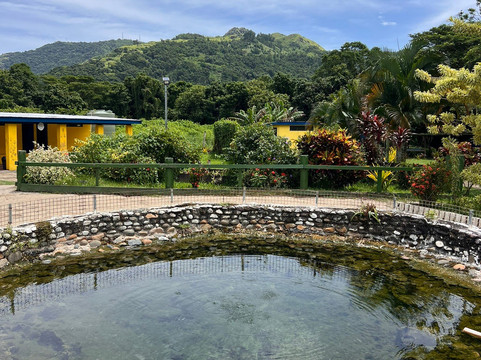 萨贝托泥浆温泉-纳迪市必去景点