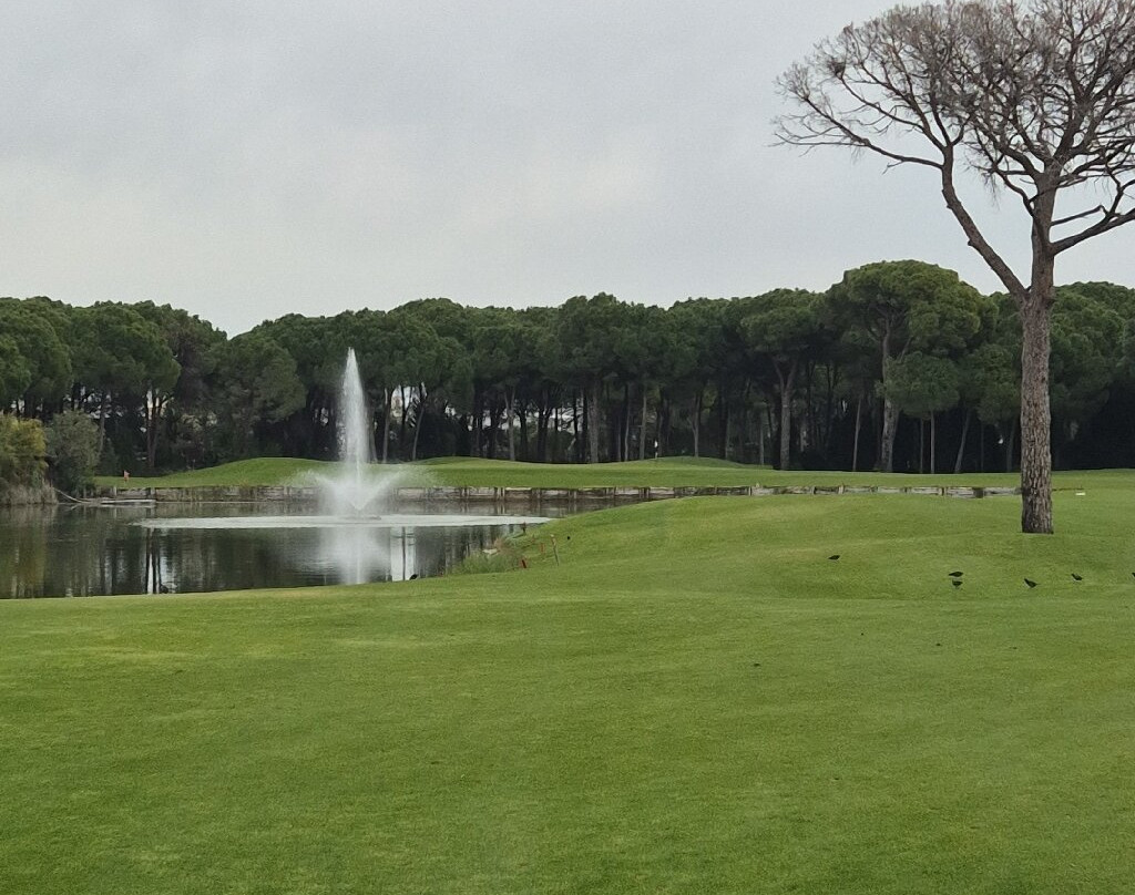 The Montgomerie Maxx Royal Golf Club-贝莱克必去景点