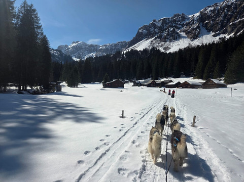 Fischer Adventures Day Tours-圣加仑必去景点