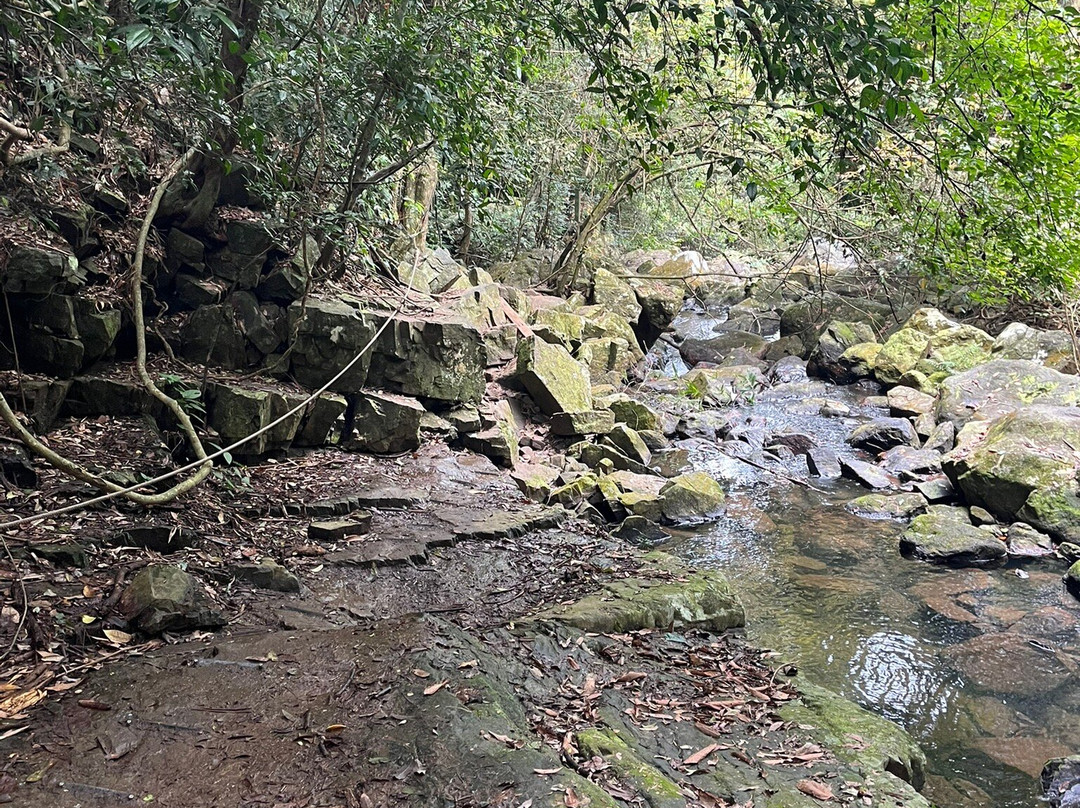 Phong Nha Botanic Garden-Son Trach必去景点