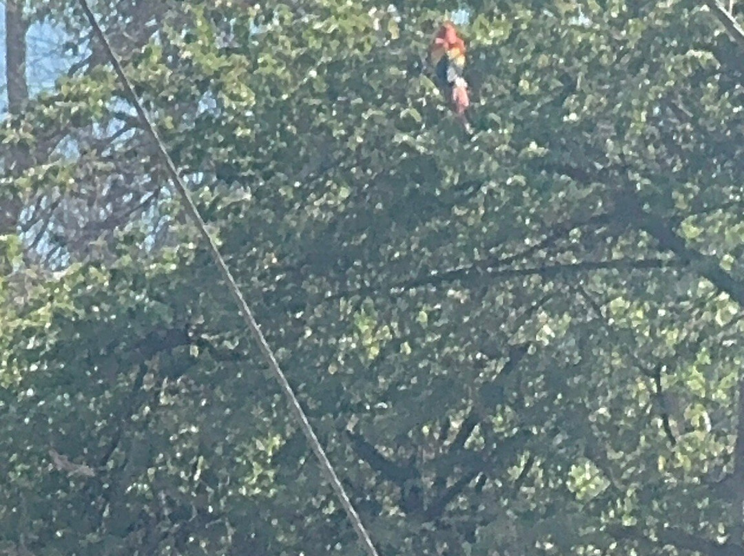 Playa Mantas-Tarcoles District必去景点