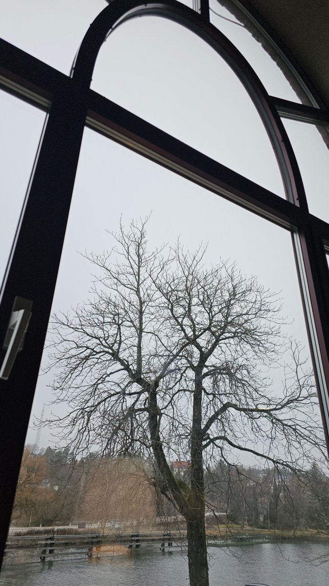 斯堪迪克思万尼尔酒店-官方