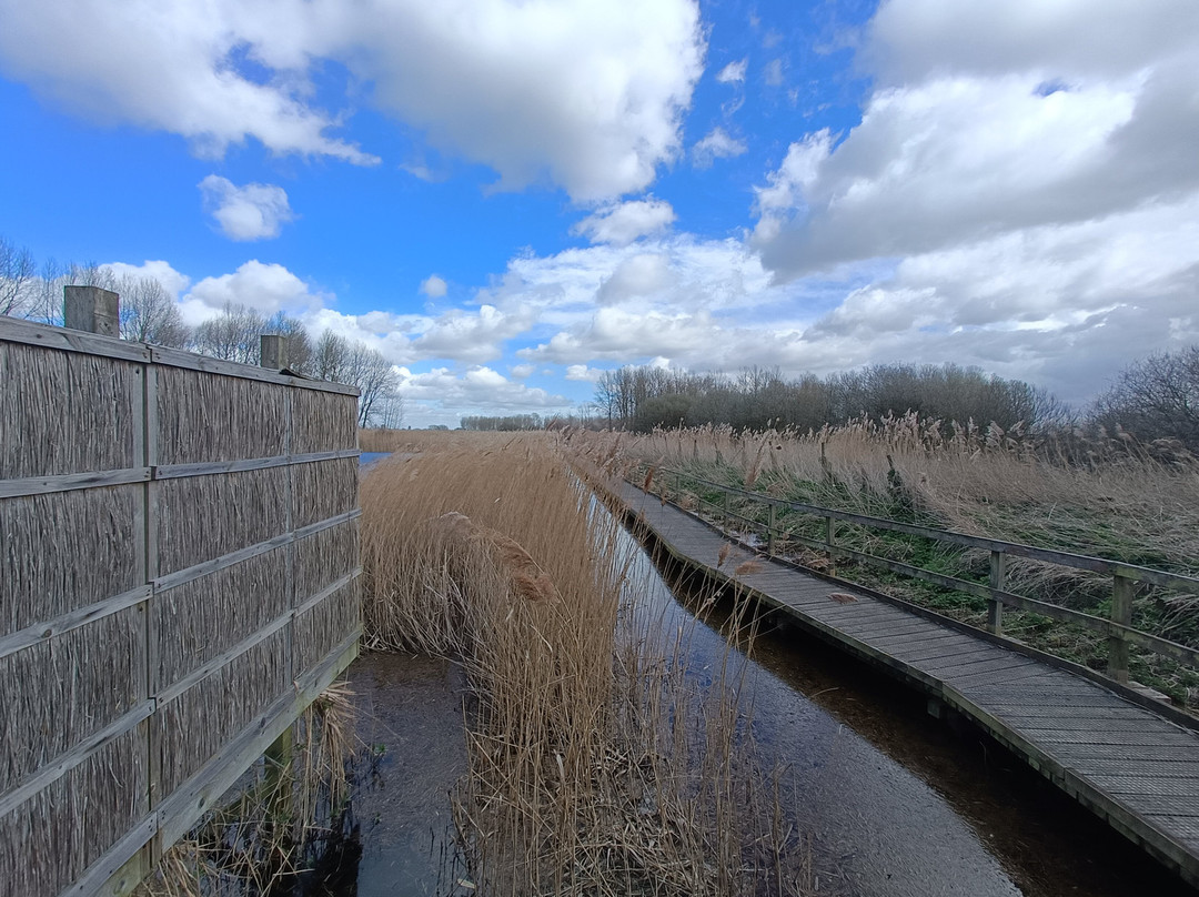 Lakenheath Fen RSPB Reserve-Lakenheath必去景点