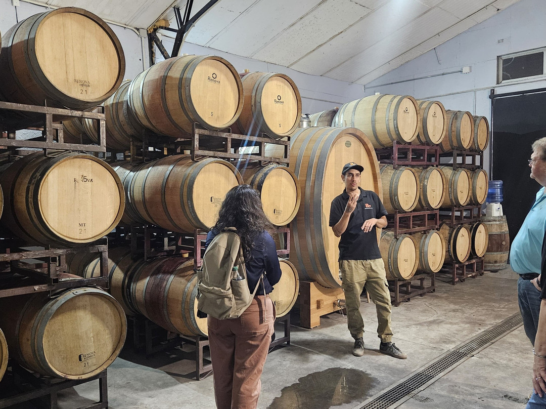 Besoain Wines-Pirque必去景点