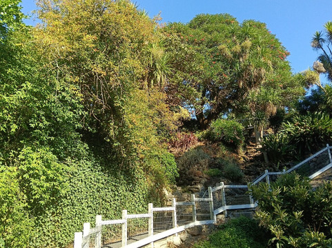 Cave Garden/thugi-芒特甘比尔必去景点