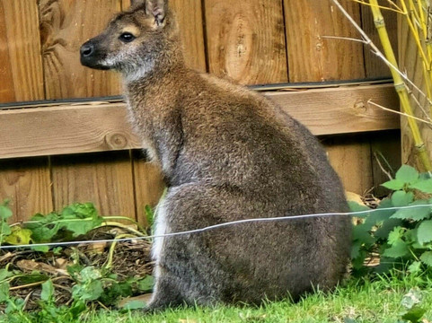 Natural'Parc-Ombrée d'Anjou必去景点