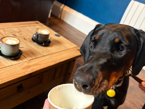 No 8 Coffee Shop主图