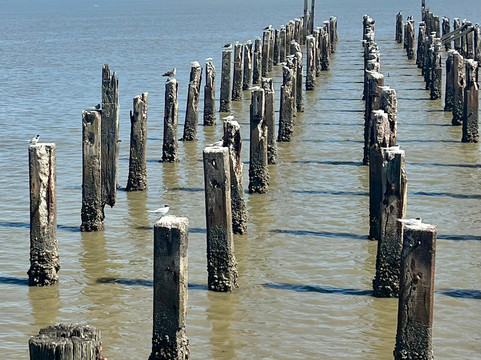 Thames Coastal Walkway-Thames必去景点