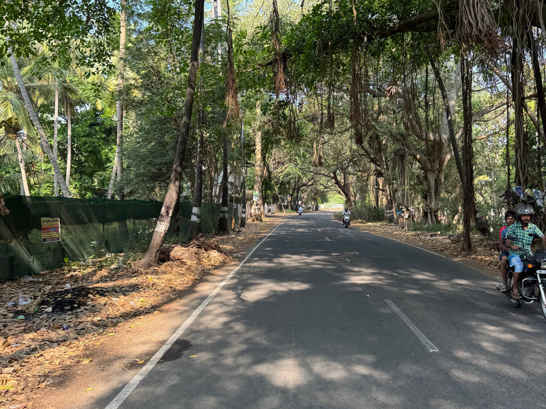 Cycling in India-新德里必去景点