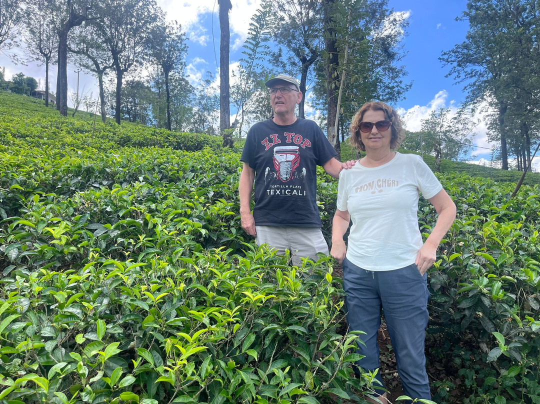 At Ease Sri Lanka - Tours & Transport-Dodanduwa必去景点