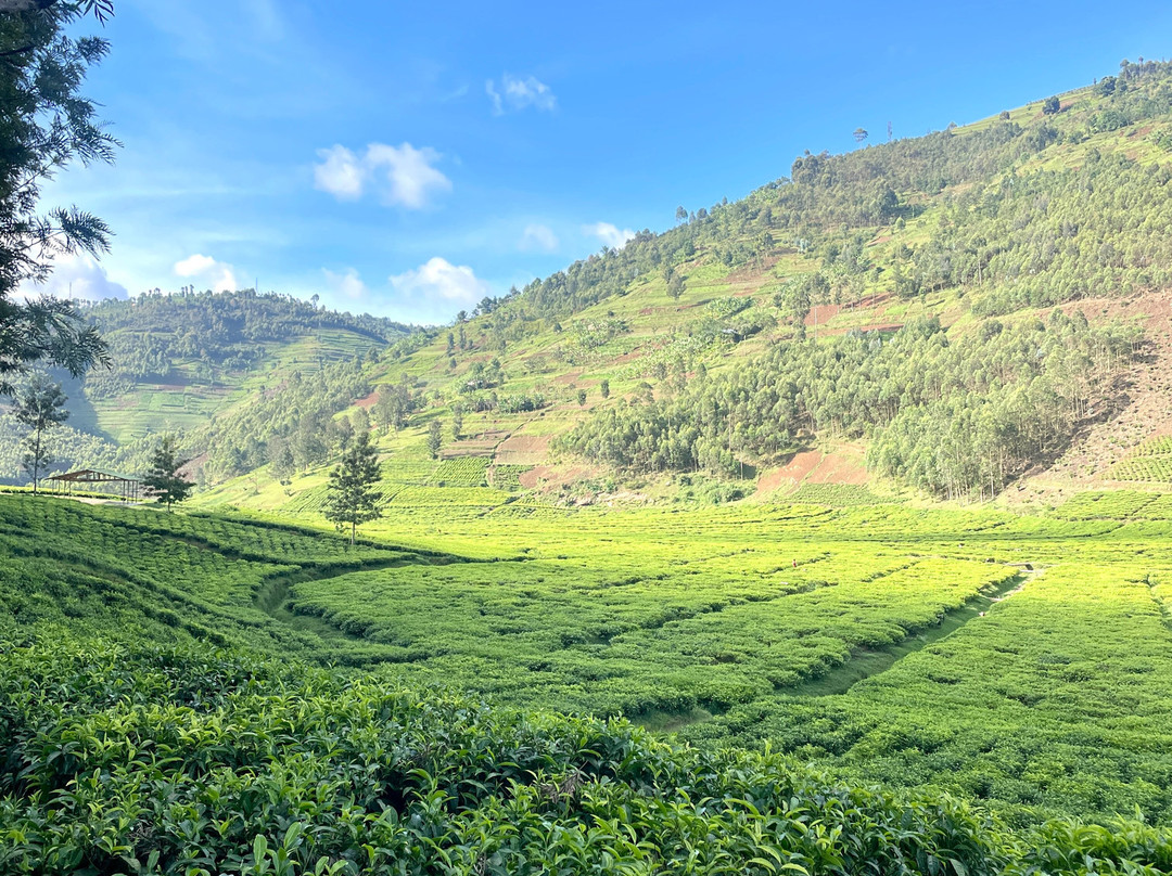 BUGOLI ADVENTURES LIMITED-卡巴莱必去景点