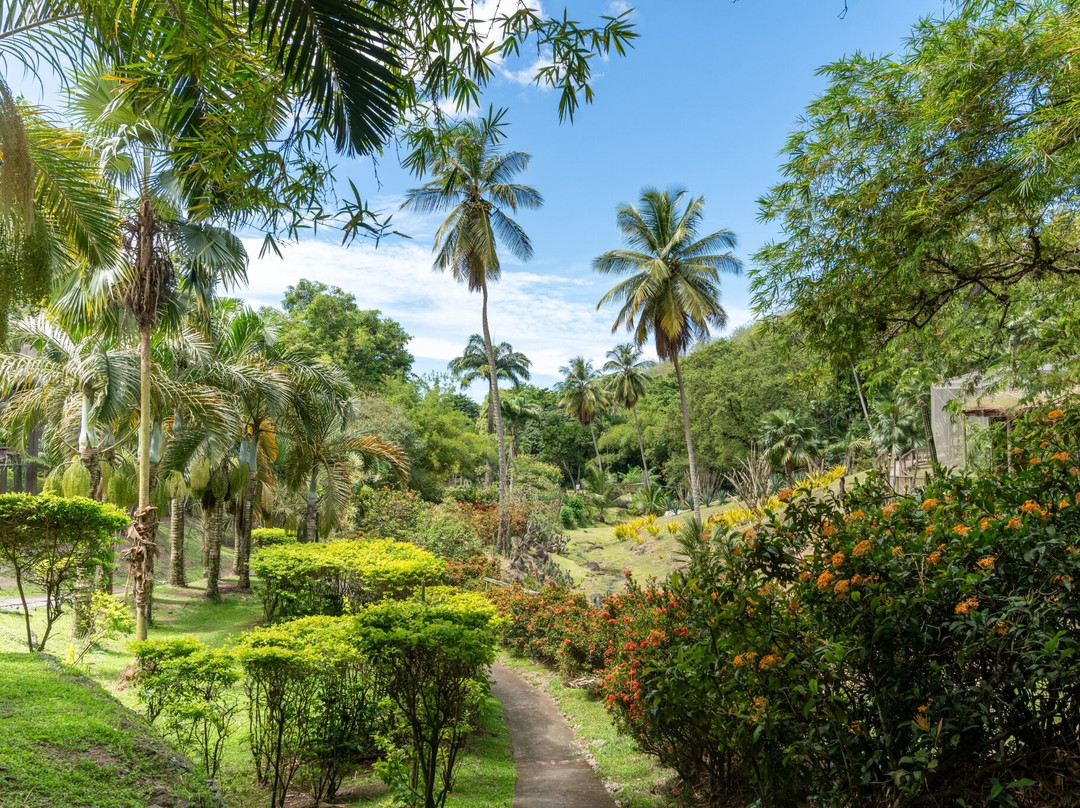 Zoo de Martinique-Le Carbet必去景点