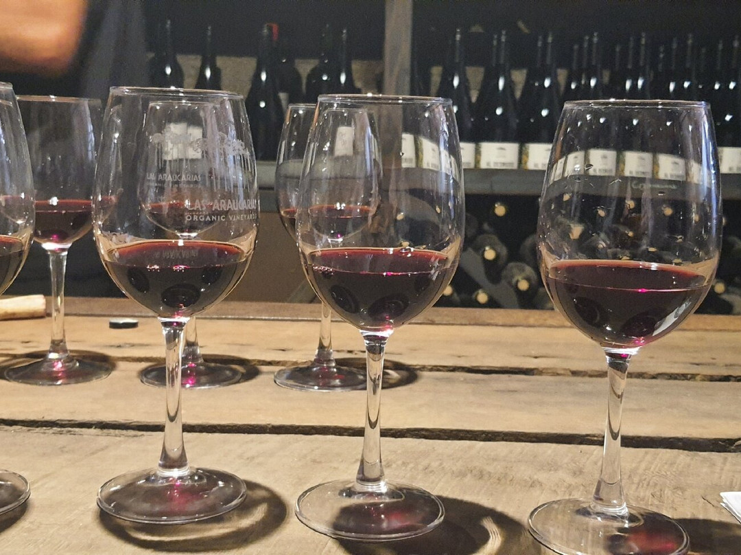 Viña Las Araucarias-Melipilla必去景点