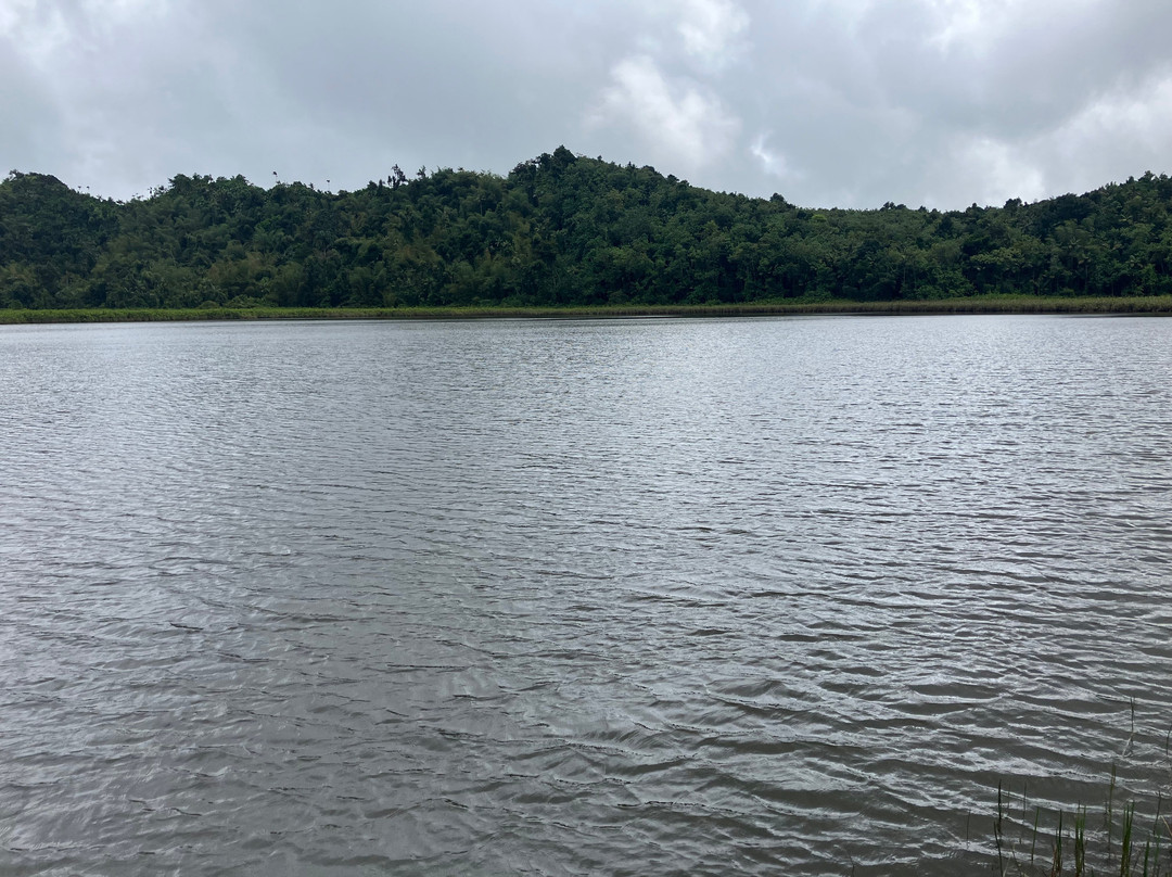 Grand Etang Lake-Grand Etang National Park必去景点