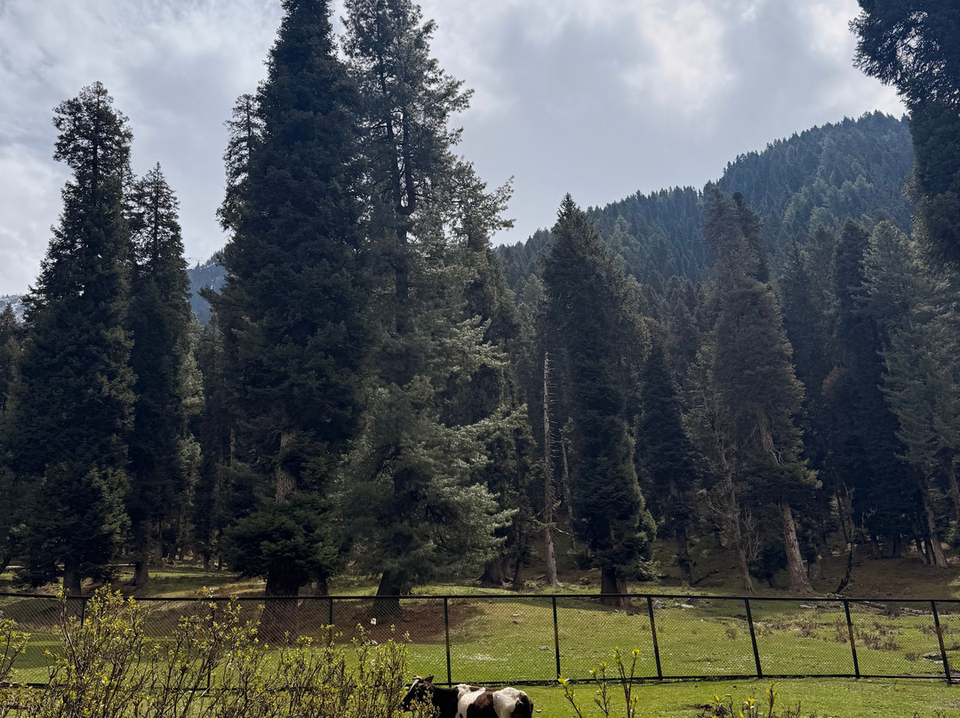 The Woodswalk Treks And Tours-帕哈甘必去景点