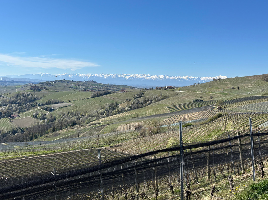 BikeSquare-Novello必去景点