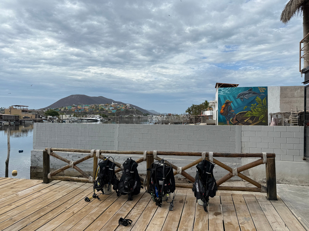 Sealion Dive Center-Los Mochis必去景点